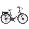 LIBERTY e-STRADA 6spd predný motor 18