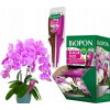 BOPON Eliksir DUO na orchidey 35ml - regeneruje a posilňuje rastliny (Objavte kúzlo BOPON Eliksir DUO, špeciálne vyvinutý pre všetky druhy orchideí. Tento moderný, dvojkomponentný prípravok intenzívne