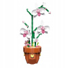 ORCHIDEA V KVETINÁČI ZO STAVEBNÝCH KOCIEK STAVEBNICA KVET ORCHIDEA DEŇ ŽIEN