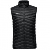 Mammut Albula IN Vest Men
