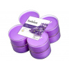 Bolsius Aromatic 2.0 Vonné čajové sviečky Maxi 8ks, Levanduľa