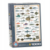 Eurographics Mořské ryby 1000 dielov