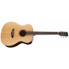 TANGLEWOOD TWJF E