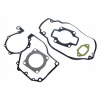 Tesnenie motora MZ ETZ 250 251 kryngielit Nemecko