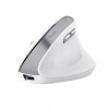 Trust Bayo II Ergonomic Wireless Mouse 25398