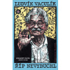 Říp nevybuchl (Ludvík Vaculík)