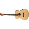 TANGLEWOOD TR 3 LH