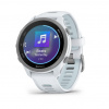 GARMIN FORERUNNER 170 MUSIC Whitestone 010-03920-11 - oficiální česká distribuce