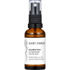 SAINT CHARLES Izbový sprej Head Pain Guard - 30 ml
