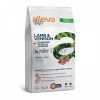 Alleva HOLISTIC dog lamb & venison adult mini 12 kg