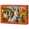 Happy Dogs In The Countryside (105410)