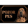 Svätohubertský pes (Bloodhound) - Kovová tabuľka POZOR PES