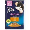 PURINA NESTLE Felix Fanstastic Junior - mokré krmivo pre mačky - 85 g