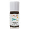 HANUS SILICA CITRONELA ole 1x10 ml Hanus - Bylinné prípravky