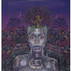 Erykah Badu: New Amerykah Part Two: Return Of The Ankh LP - Erykah Badu