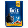 Brit Premium Cat kapsa with Salmon & Trout 100g