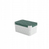 CURVER úložný box, úložný box s vekom na hračky, Deco’s Iml green leaves