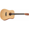 TANGLEWOOD TR 5