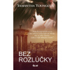 Bez rozlúčky - Samantha Youngová