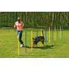 Karlie Agility slalom 12x100cm