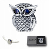 Koralik Prívesok Charms Beads Strieborná S925 Sova Owl Modulárny náramok