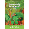 E-kniha Kam zmizela Rebarbora? - Iva Procházková, Denisa Grimmová (Ilustrátor)