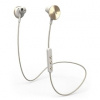 I.am Buttons Bluetooth Wireless Headphones - zlaté
