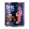 RIT BRIT Premium by Nature Lamb with Buckwheat - mokra pasja hrana - 800 g