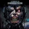 VARIOUS ARTISTS - A Tribute To Rammstein (LP)