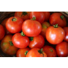 Glacier paradajka (semená)