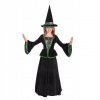 Kostým čarodejnice zeleno - čierna 126 cm