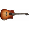 Furch Green Dc-SR Master's Choice Sunburst CNR Active