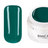 Emmi-Nail Color Gel Daisy Leaf F281 5ml - 98830
