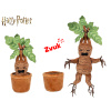 Harry Potter Mandragora