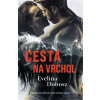 Cesta na vrchol - Dobosz Ewelina