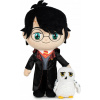 Harry Potter Harry stojaci s Hedvičkou 29 cm