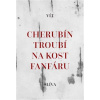 Cherubín troubí na kost fanfáru - Vít Slíva