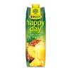 Rauch happy day džús ananás 100 %