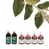 Inca Botanica PARADENTÓZA