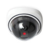 Bentech Dummy Dome 1