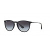 Ray-Ban RB4171 ERIKA 622/8G