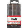 kwb 424290 HSS Titan sada spirálových vrtáku do kovu 20dílná 0.3 mm, 0.35 mm, 0.4 mm, 0.45 mm, 0.5 mm, 0.55 mm, 0.6 mm, 0.65 mm, 0.7 mm, 0.75 mm, 0.8 mm, 0.85