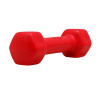 PLATINUM FITNESS Vinylová činka 1kg