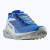 Salomon Sense Ride 5 ibiza blue/lapis/blue/white pánska bežecká obuv (45 1/3 EU)