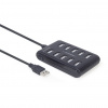 Hub GEMBIRD UHB-U2P10P-01 (UHB-U2P10P-01)