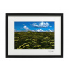Atelier - Petr Vydra Umelecká fotografia Krajina - Klasy (čierny rám), Velikost a varianta fotografií Bílý rám 30 x 40 cm ( pasparta 21x 30 cm )