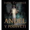 Anděl v podsvětí (2x Audio na CD - MP3)