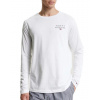 Pánske tričko Tommy Hilfiger UM0UM02984