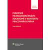 Evropské mezinárodní právo soukromé v kontextu pracovního práva (Tereza Kadlecová )