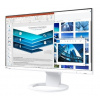 EIZO 24